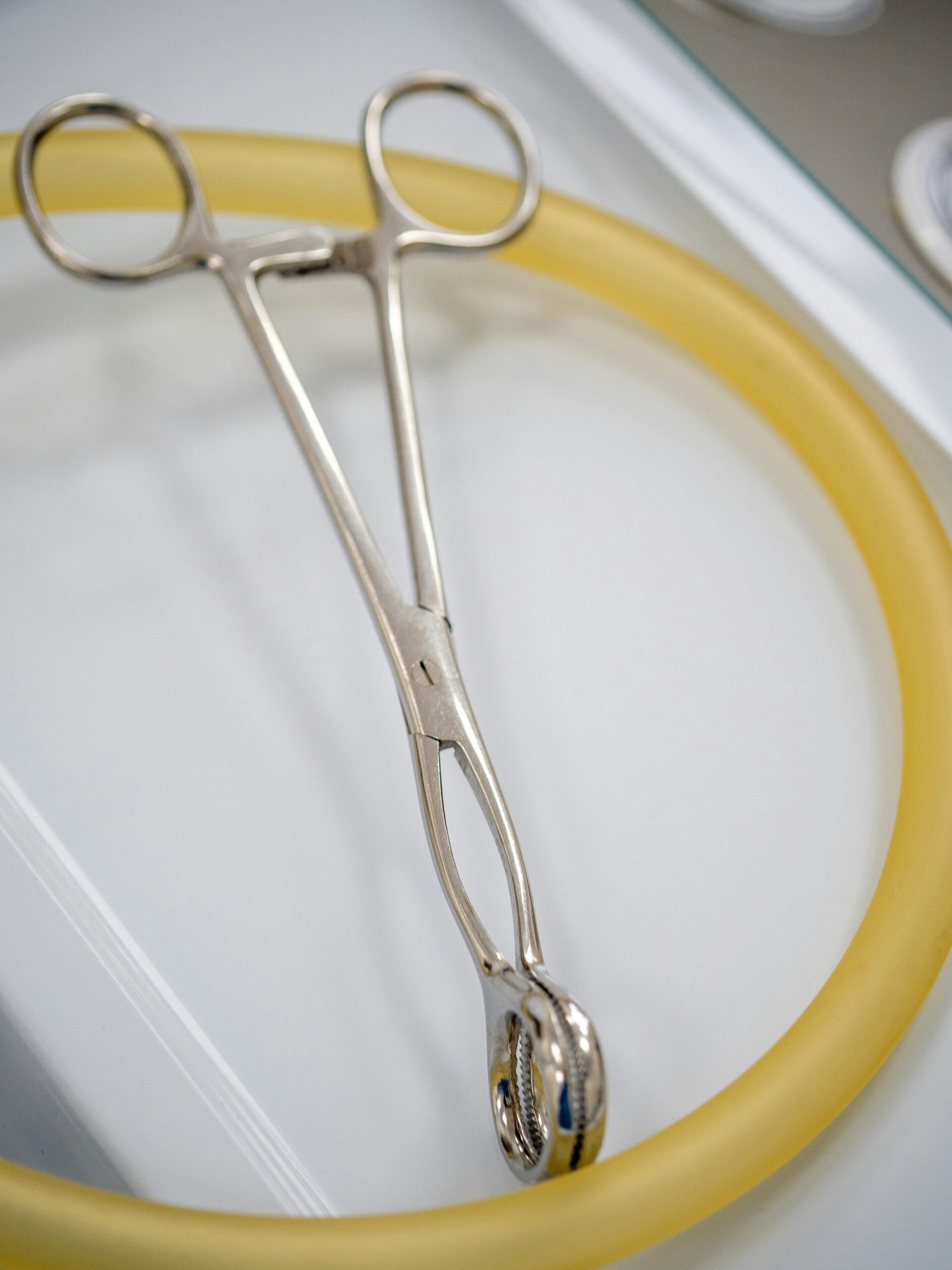 Premium Sponge Holding Forceps