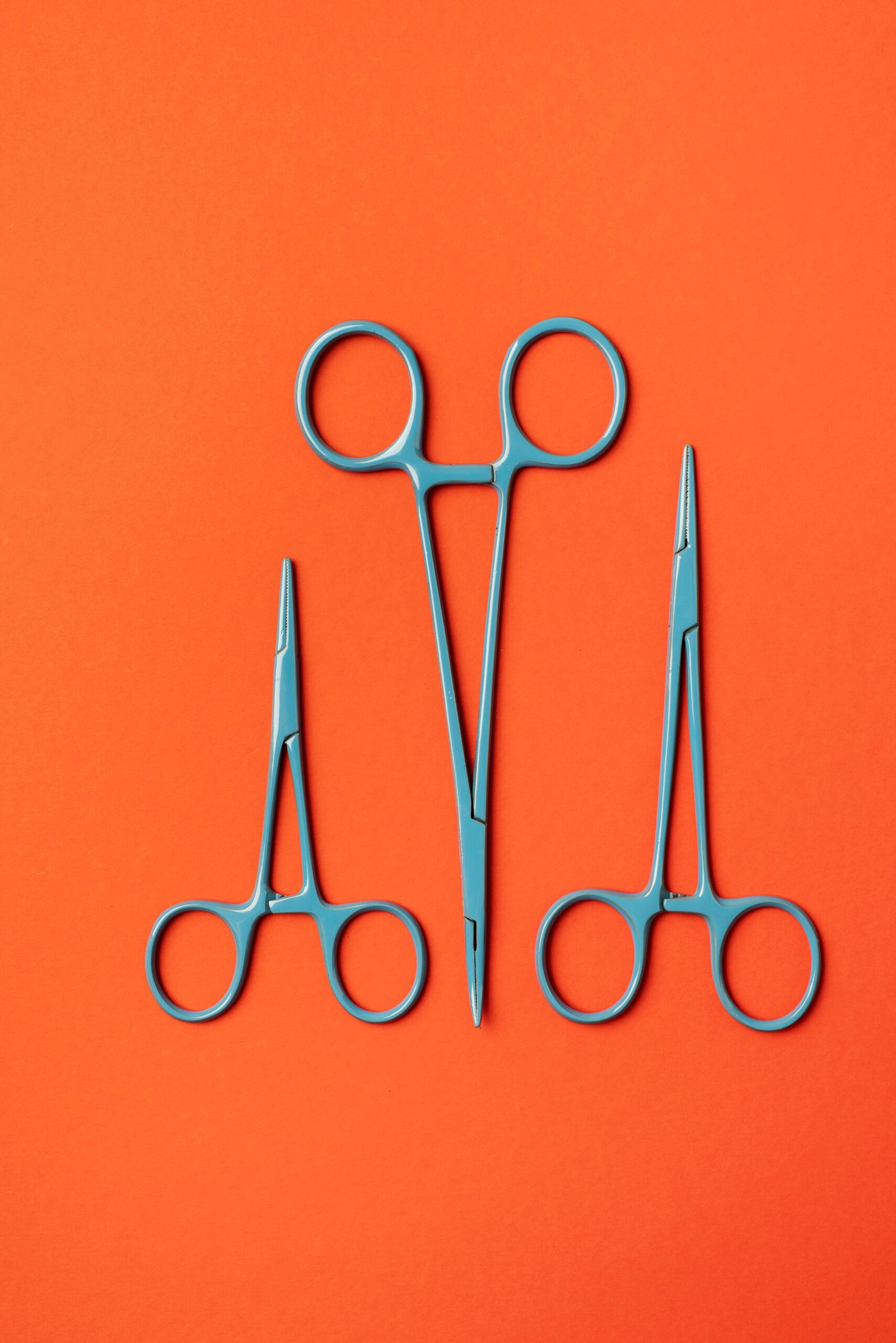 Premium Mayo Surgical Scissors